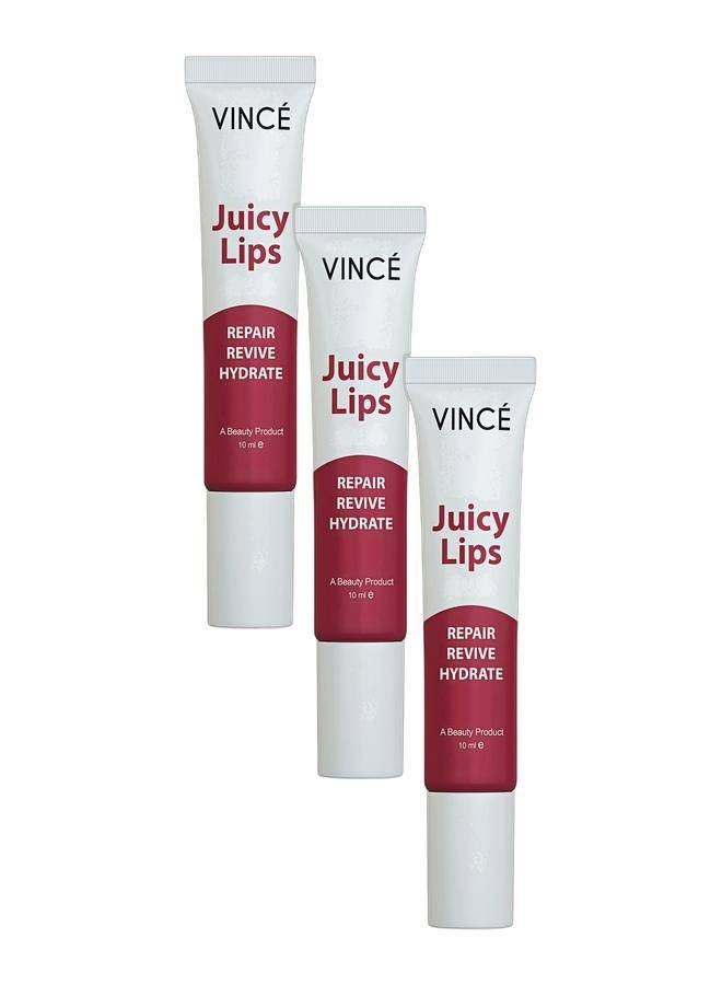 VINCE Juicy Lips Pack Of 3 – Long-Lasting Moisture for Dry, Chapped Lips, Softens & Soothes with Shea Butter & 4 Natural Oils – Enhances Natural Lip Color, Non-Greasy, Pocket-Friendly, Unisex – Paraben-Free, 10ml Each - Image 1